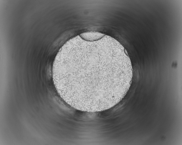 X0000114210479200911201027