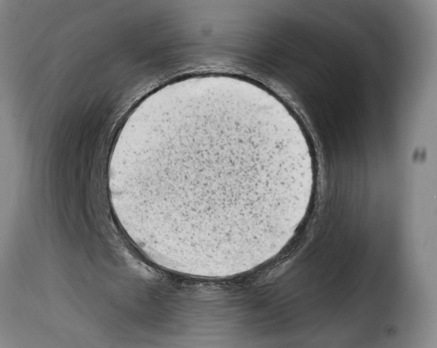 X0000114210481200911201026