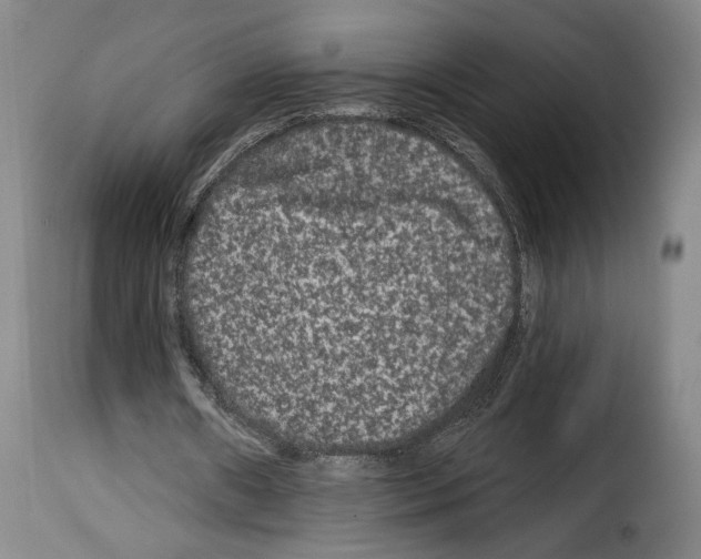 X0000114210482200911201026