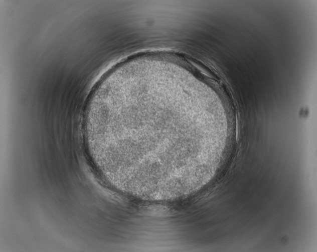 X0000114210483200911201026
