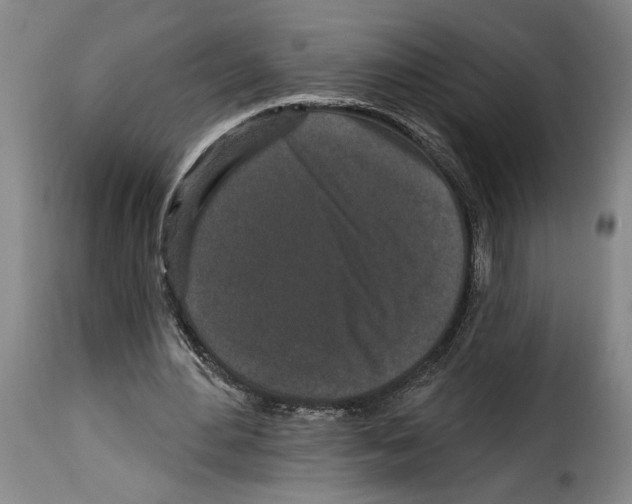 X0000114210484200911201026