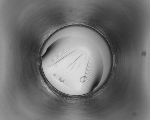 X0000114210485200911201026