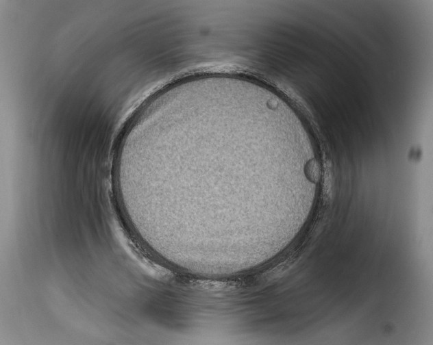 X0000114210486200911201026
