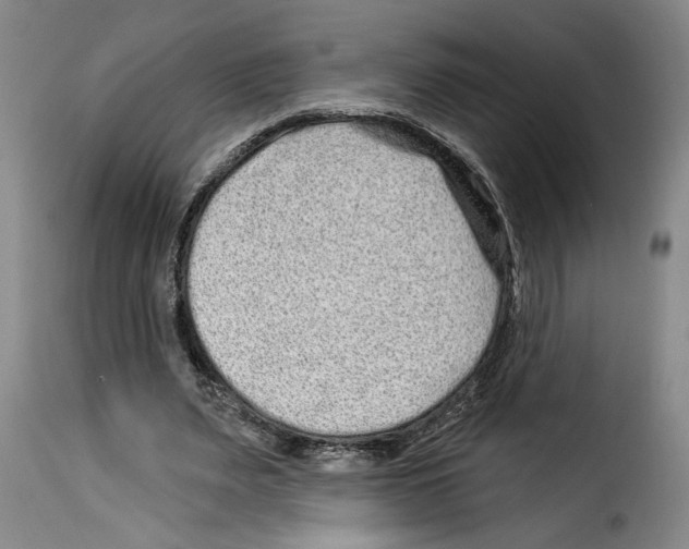 X0000114210487200911201026