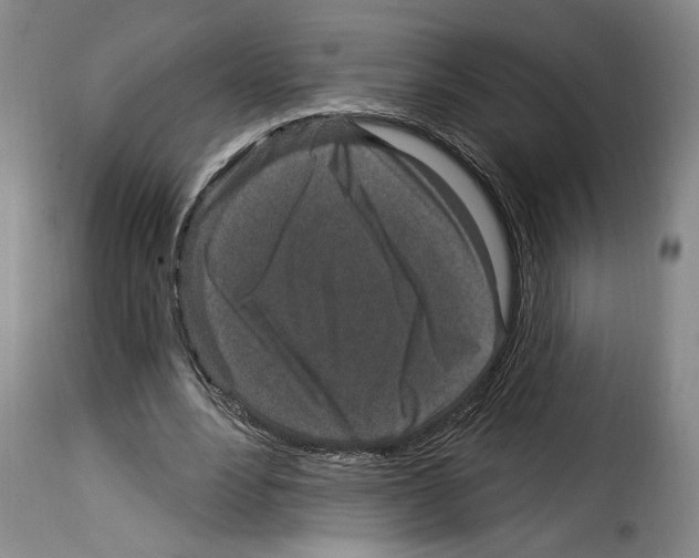 X0000114210488200911201026