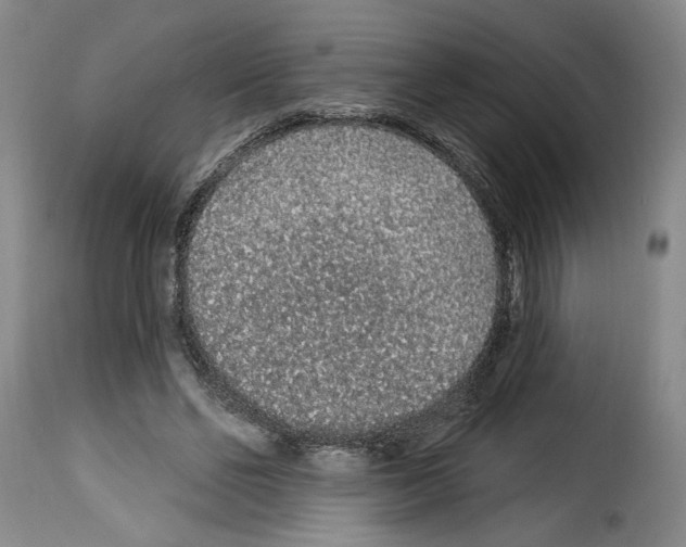 X0000114210494200911201026