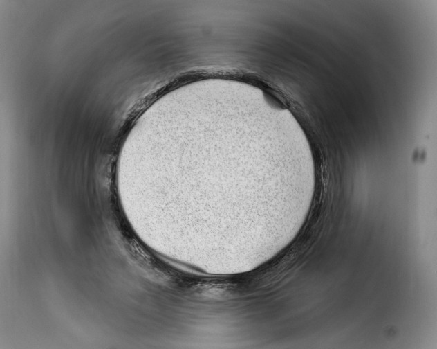 X0000114210495200911201026