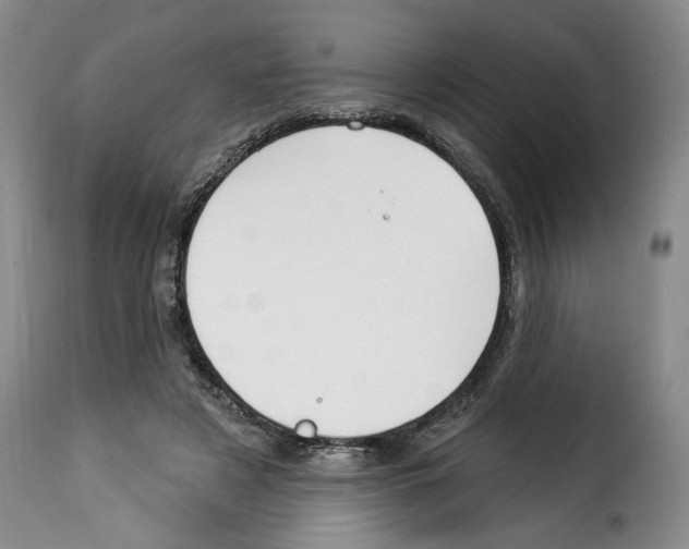 X0000114210497200911201026