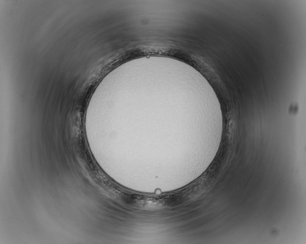 X0000114210498200911201026