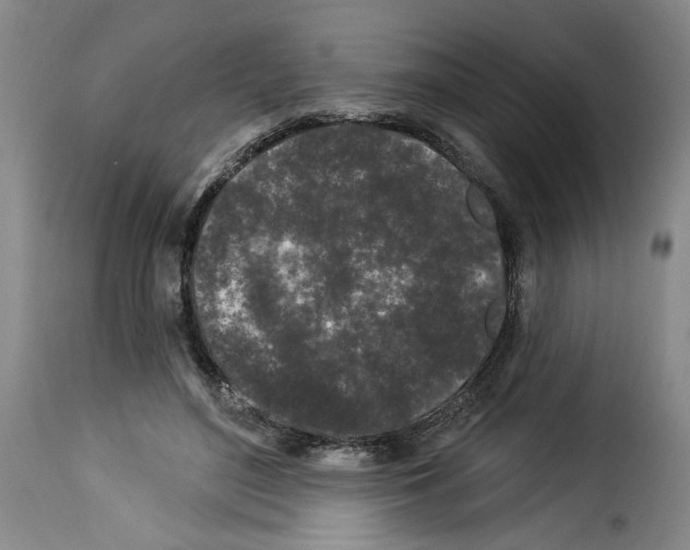 X0000114210500200911201026