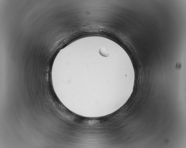 X0000114210501200911201026