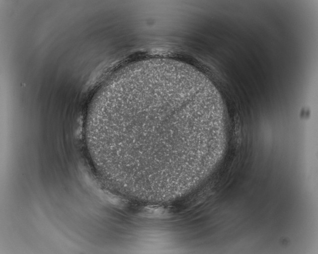 X0000114210502200911201026