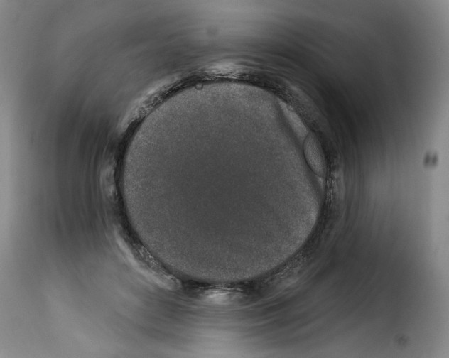 X0000114210504200911201026