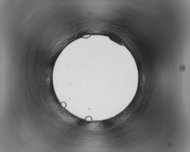 X0000114210505200911201026