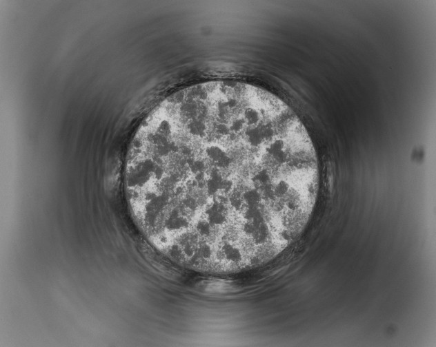 X0000114210507200911201026