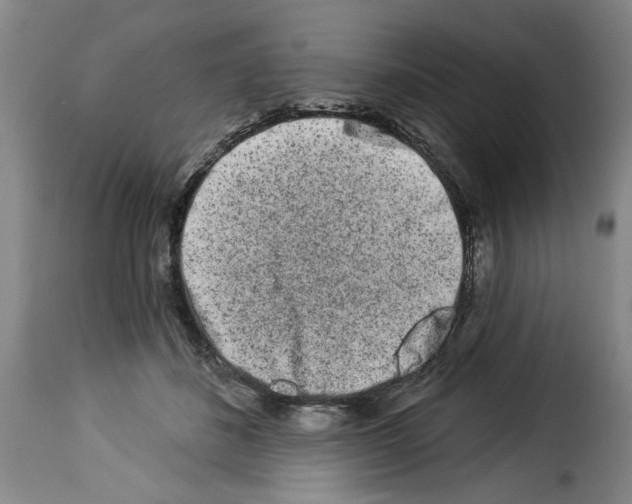 X0000114210508200911201026