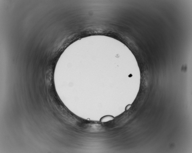 X0000114210509200911201026