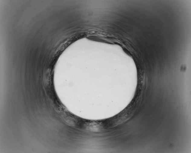 X0000114210511200911201026