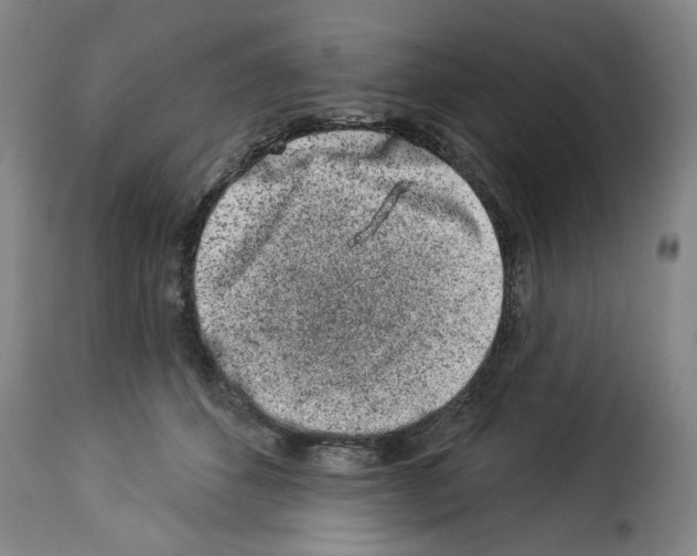 X0000114210512200911201026