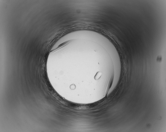 X0000114210513200911201025