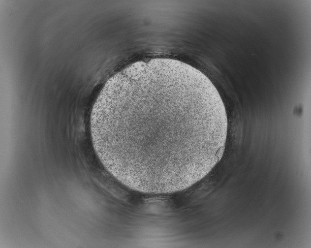 X0000114210516200911201025