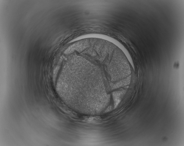 X0000114210517200911201025