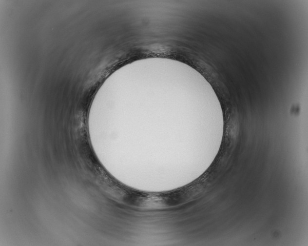 X0000114210518200911201025