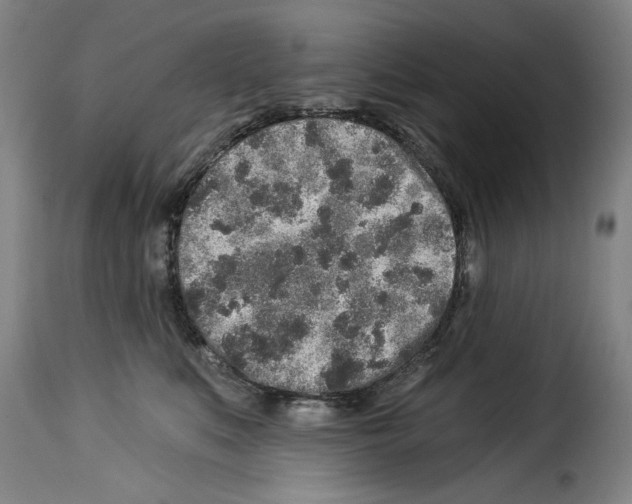 X0000114210519200911201025
