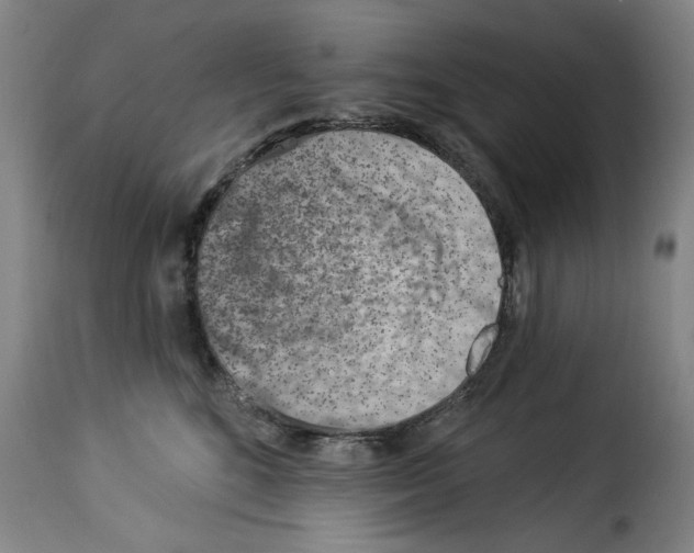 X0000114210520200911201025