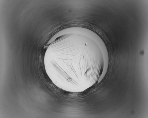 X0000114210521200911201025