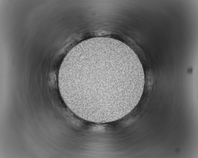 X0000114210523200911201025