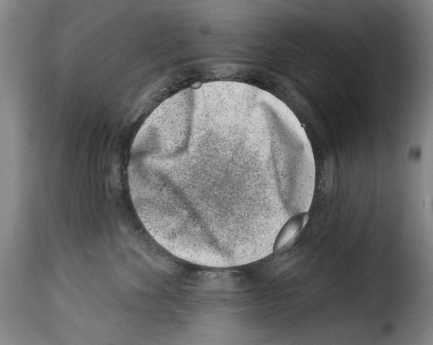 X0000114210524200911201025