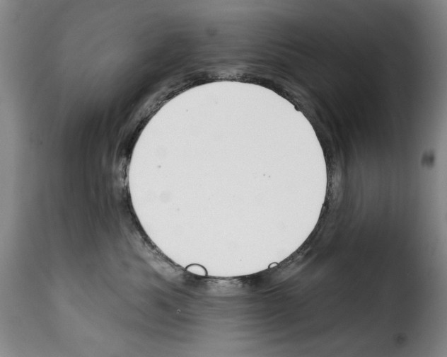 X0000114210525200911201025