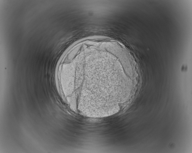 X0000114210528200911201025