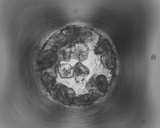 X0000114210529200911201024