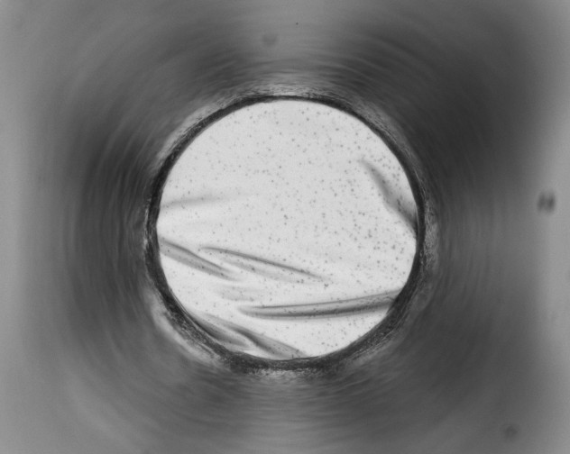 X0000114210530200911201024