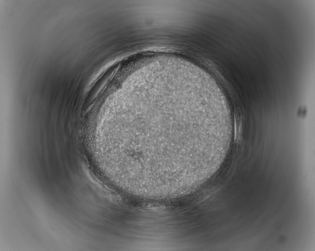 X0000114210531200911201024