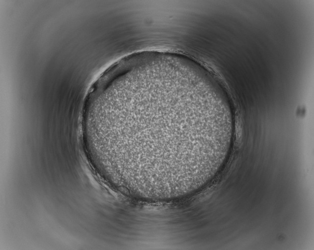 X0000114210532200911201024