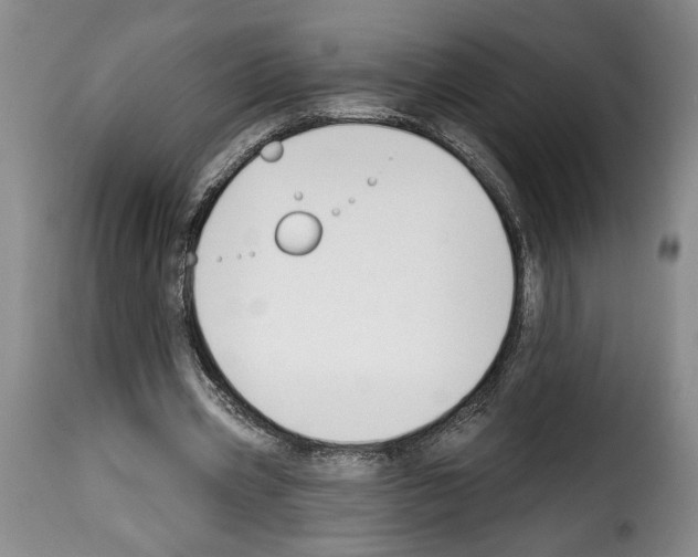 X0000114210533200911201025