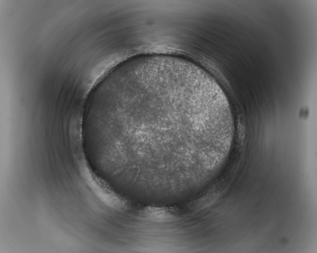 X0000114210534200911201025