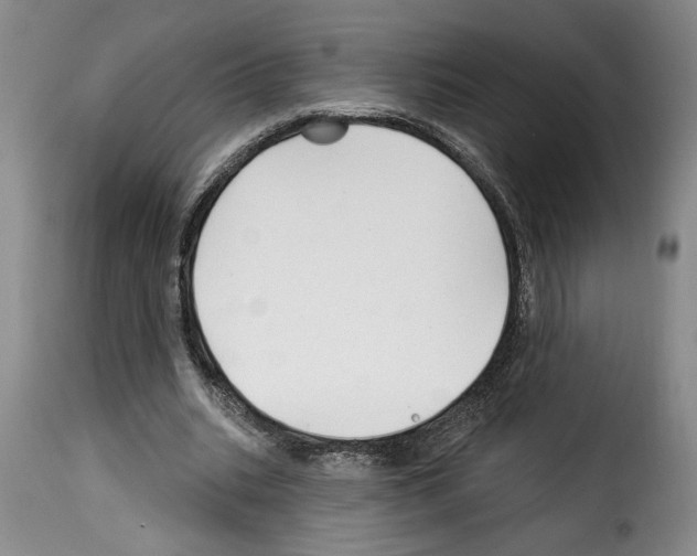X0000114210535200911201025