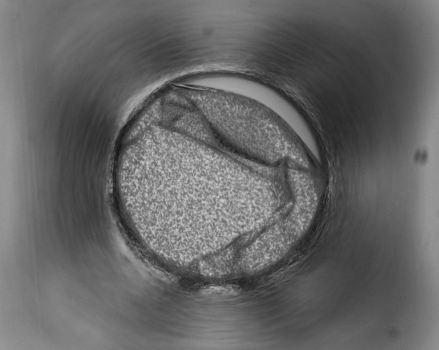 X0000114210536200911201025