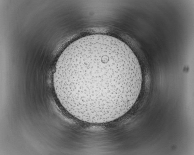 X0000114210537200911201025