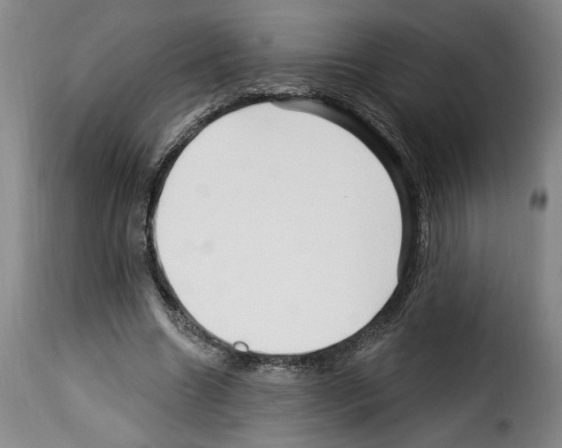 X0000114210538200911201025