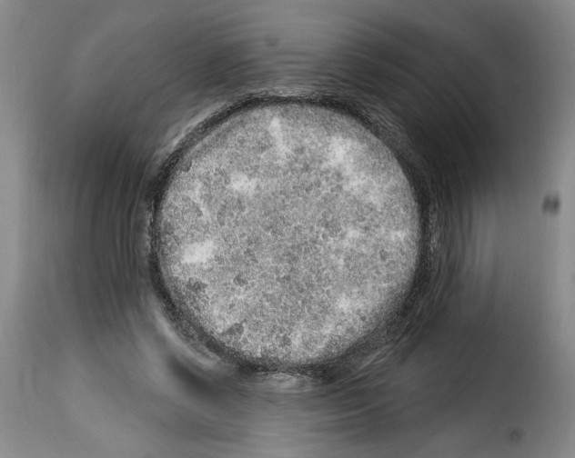 X0000114210542200911201025