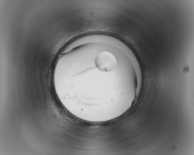 X0000114210544200911201025