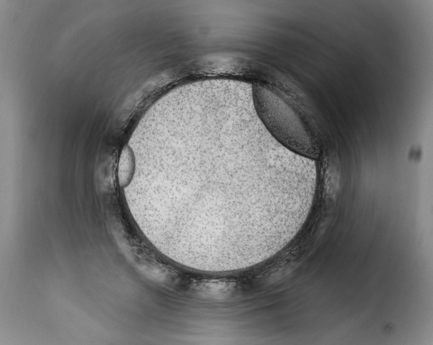 X0000114210546200911201025