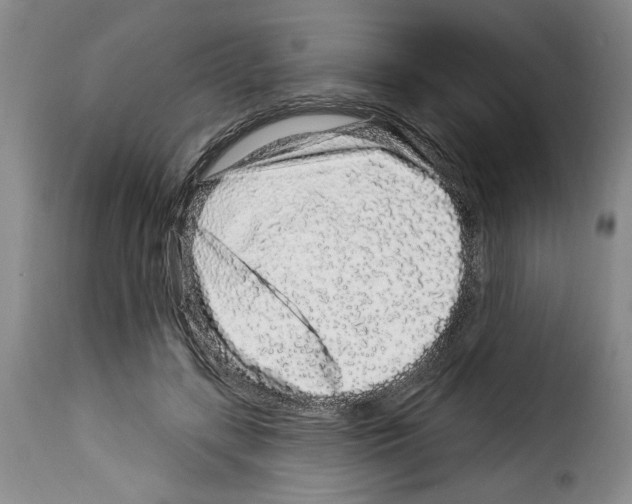 X0000114210547200911201025