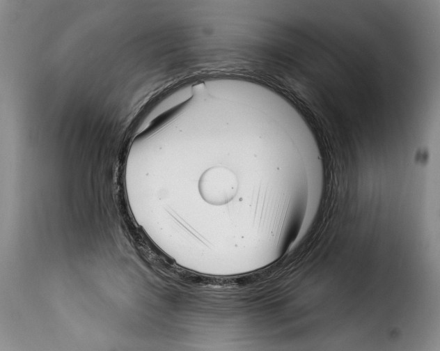 X0000114210548200911201025