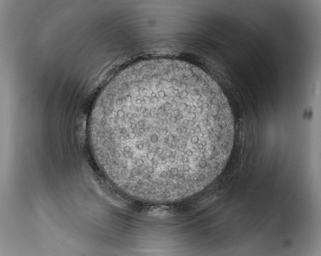 X0000114210550200911201025